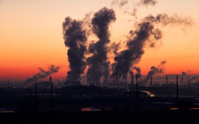 Why Environmental Compliance Is Critical To The Long-term Success Of Your Business